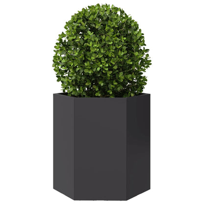 Jardineras Hexagonales 2 Uds Acero Negra 46x40x45 Cm_4