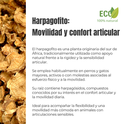 Harpagofito ECO para perros y gatos – Confort articular – 100 g_2