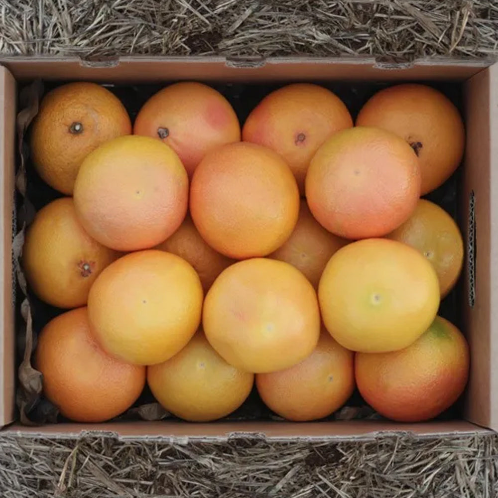 Caja de 9kg Pomelos Directos Del Campo Tropitop_2