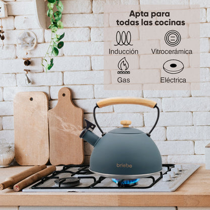 Tetera Con Silbato, Hervidor De Agua 2,5l, Inducción, Acero Inox, Vintage, Mango Madera, Briebe, Nordic, Gris