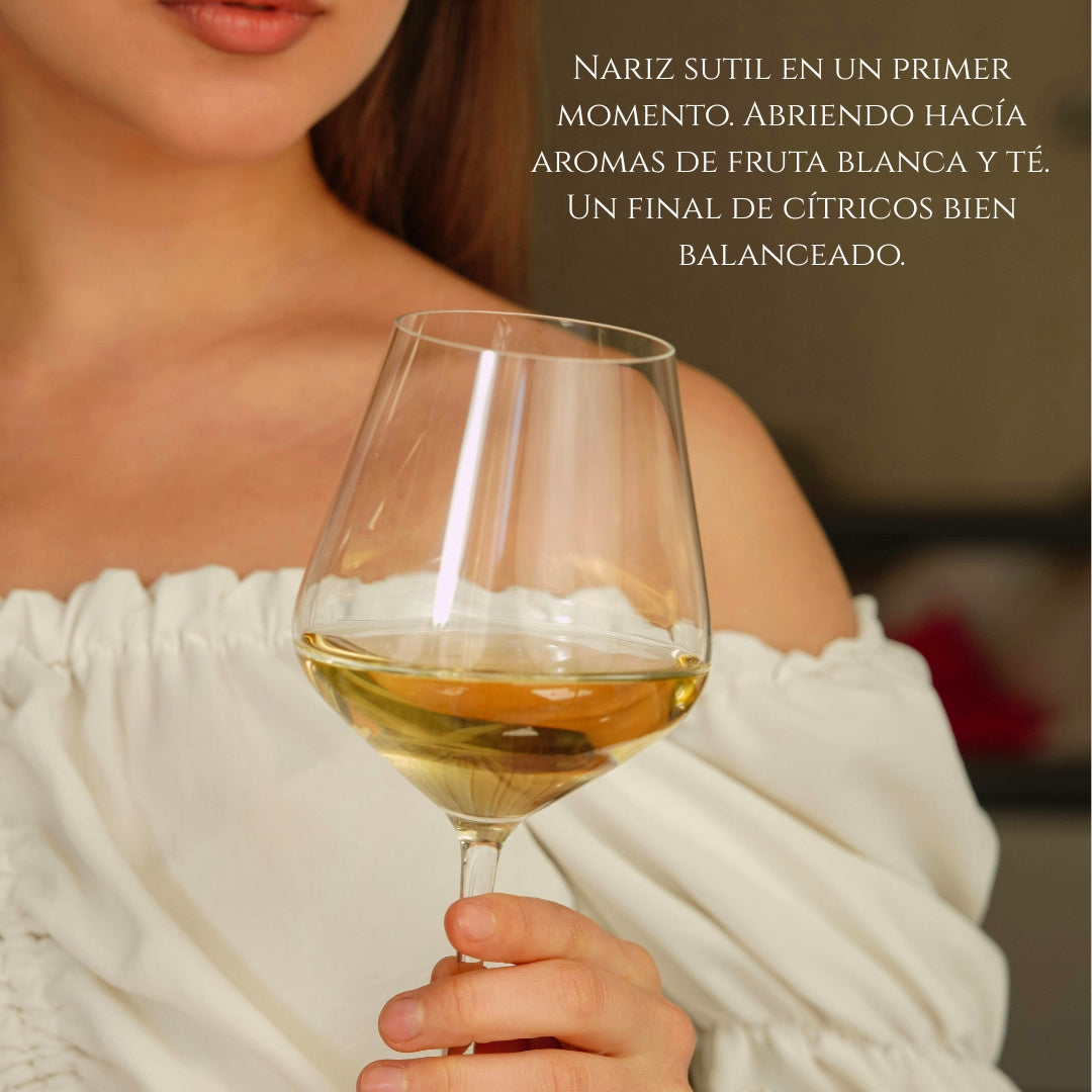 Vino Blanco Rioja D.0. Viñedo De Zona | Pack 3 Botellas 750 Ml | Viura 90% Y Tempranillo 10% | Caja Vino Blanco_3