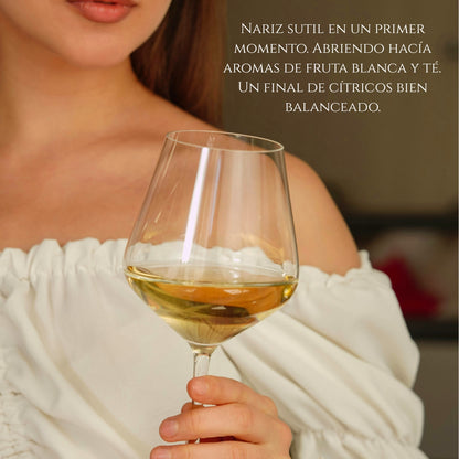 Vino Blanco Rioja D.0. Viñedo De Zona | Pack 3 Botellas 750 Ml | Viura 90% Y Tempranillo 10% | Caja Vino Blanco_3