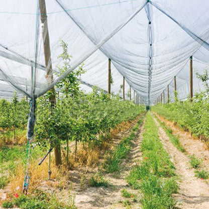Malla anti granizo Verdemax 2 x 10 m