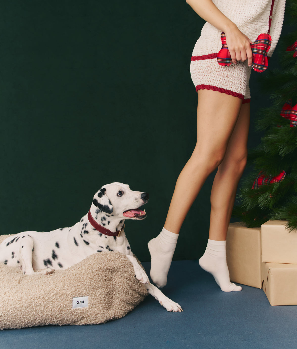 Cafide Juguete De Material Reciclado Para Perro Tartán Royal Stewrart. Modelo Play._1