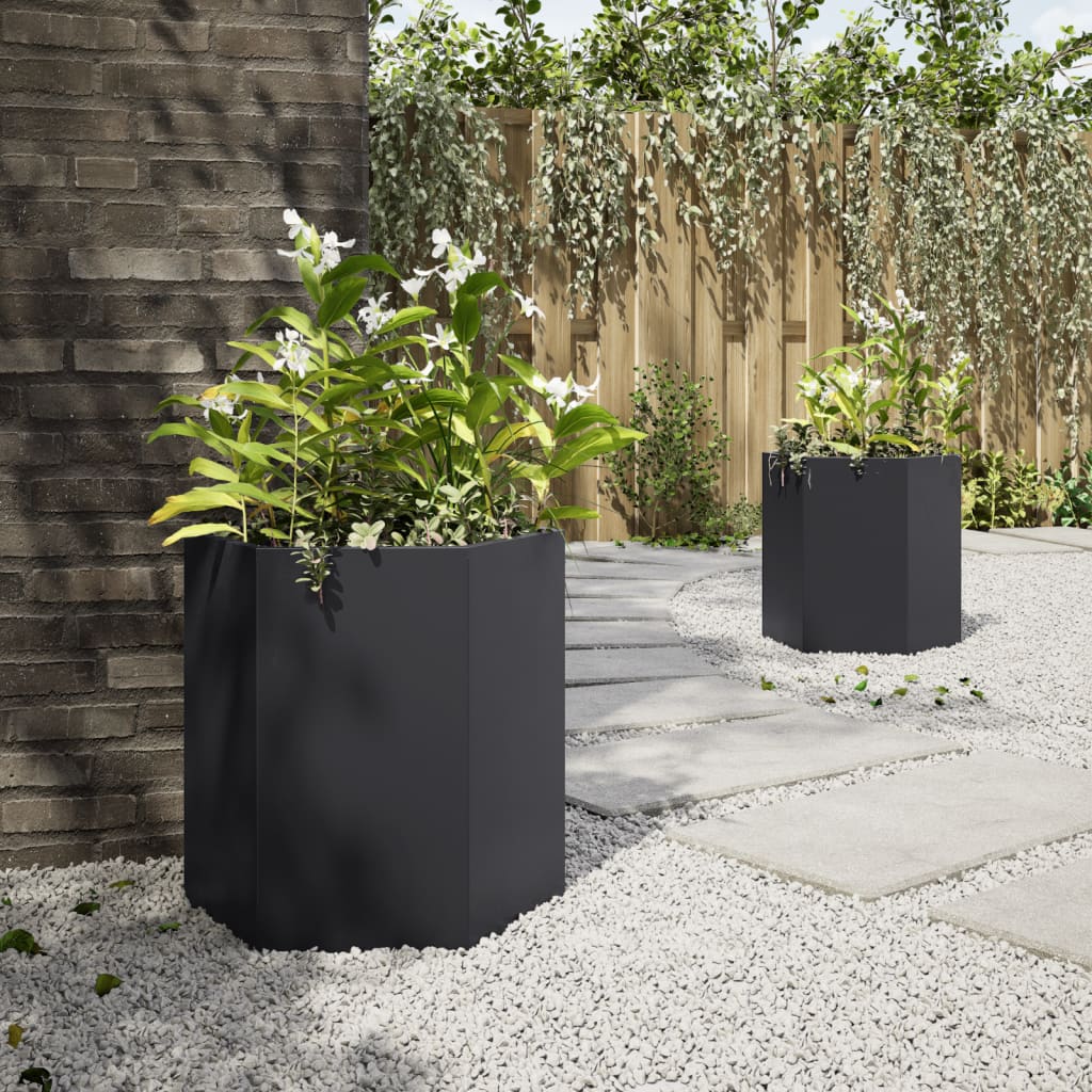Jardineras Hexagonales 2 Uds Acero Negra 46x40x45 Cm_2