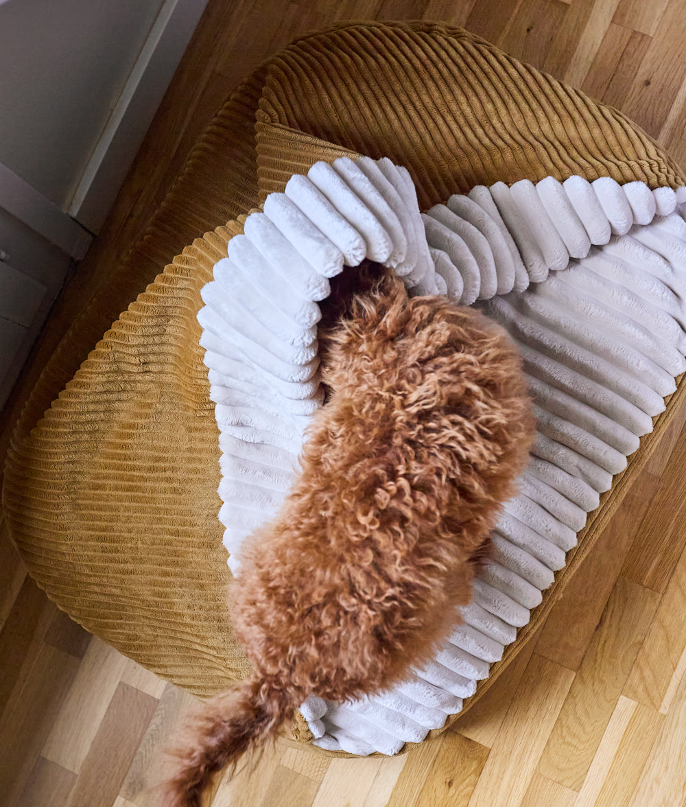 Cafide Cama Con Capucha Para Perro Con Tejido De Pana Naranja. Modelo Maso. Talla M (60x80x10 Cm)_1