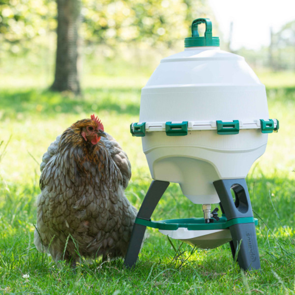 Finca Casarejo Bebedero Sifónico Para Aves Optimus (25l) - Bebedero Con Patas Para Gallinas De Plástico Resistente_2