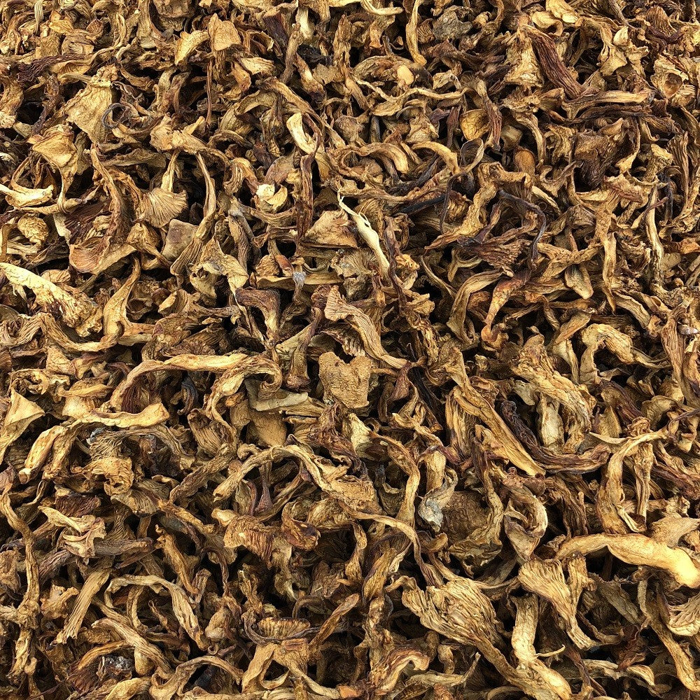 Seta Rebozuelos Ecológica Granel 5 Kg_2