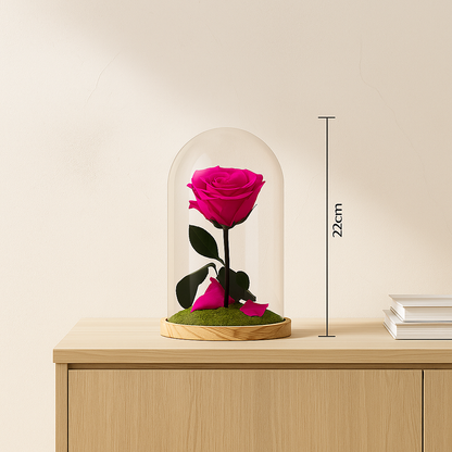 Mundo Eterno Rosa En Cúpula Fucsia 12x20cm_3