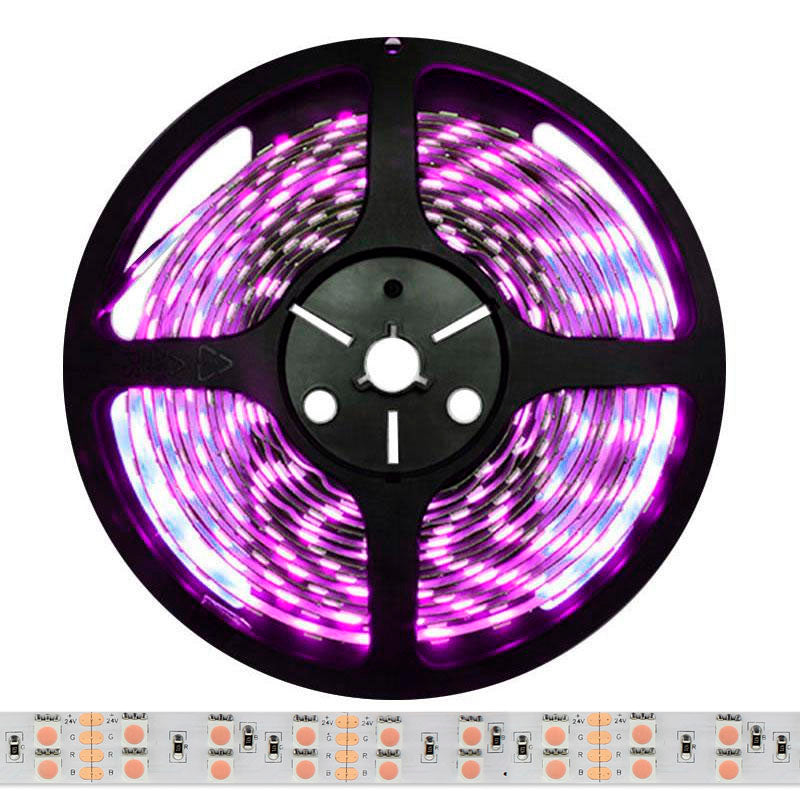 Tira Led Smd5050, Dc24v, 5m (120 Led/m), Rosa - Ip67, Rosa/magenta_4