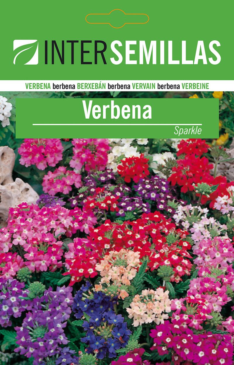 Sobre De Semillas De Verbena_0