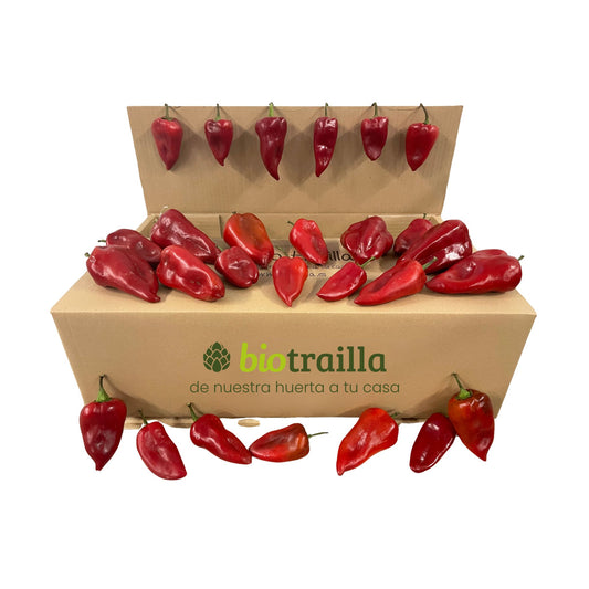 Caja 5kg de pimientos Piquillo BIO De La Huerta Navarra_0