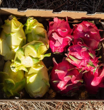 Pitahaya O Fruta Del Dragón - Caja De 4kg_5