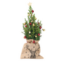 Mini-árbol Con Saco-de-yute – Picea Glauca Conica – 55–65cm – ⌀15cm