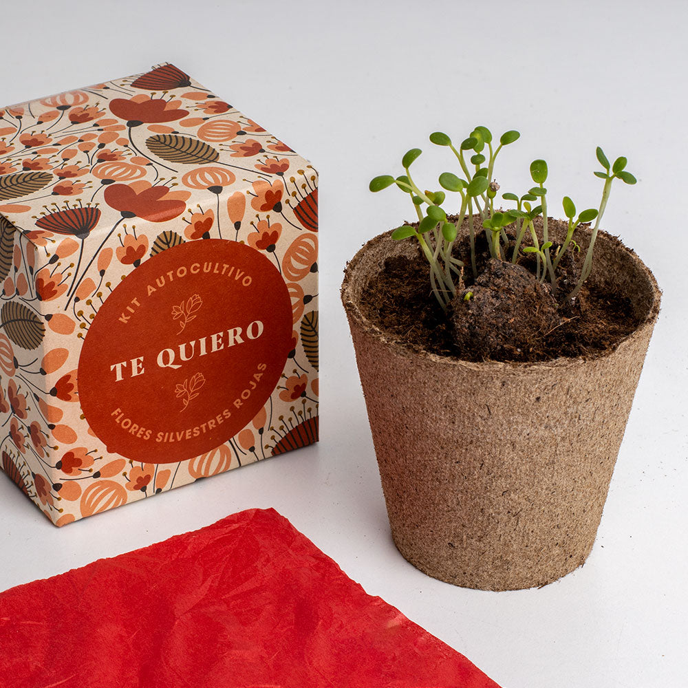 Díselo Con Flores Te Quiero | Kit Cultivo Flores Silvestres Rojas (amapola, Lino Rojo Y Clavel Del Poeta)_3