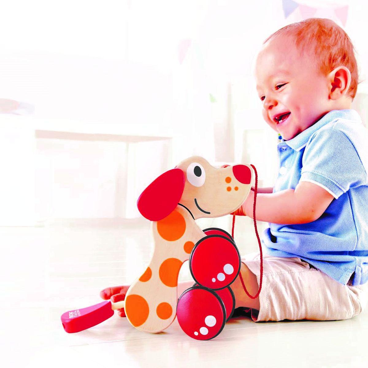 Arrastre Perrito Pepe Hape_1