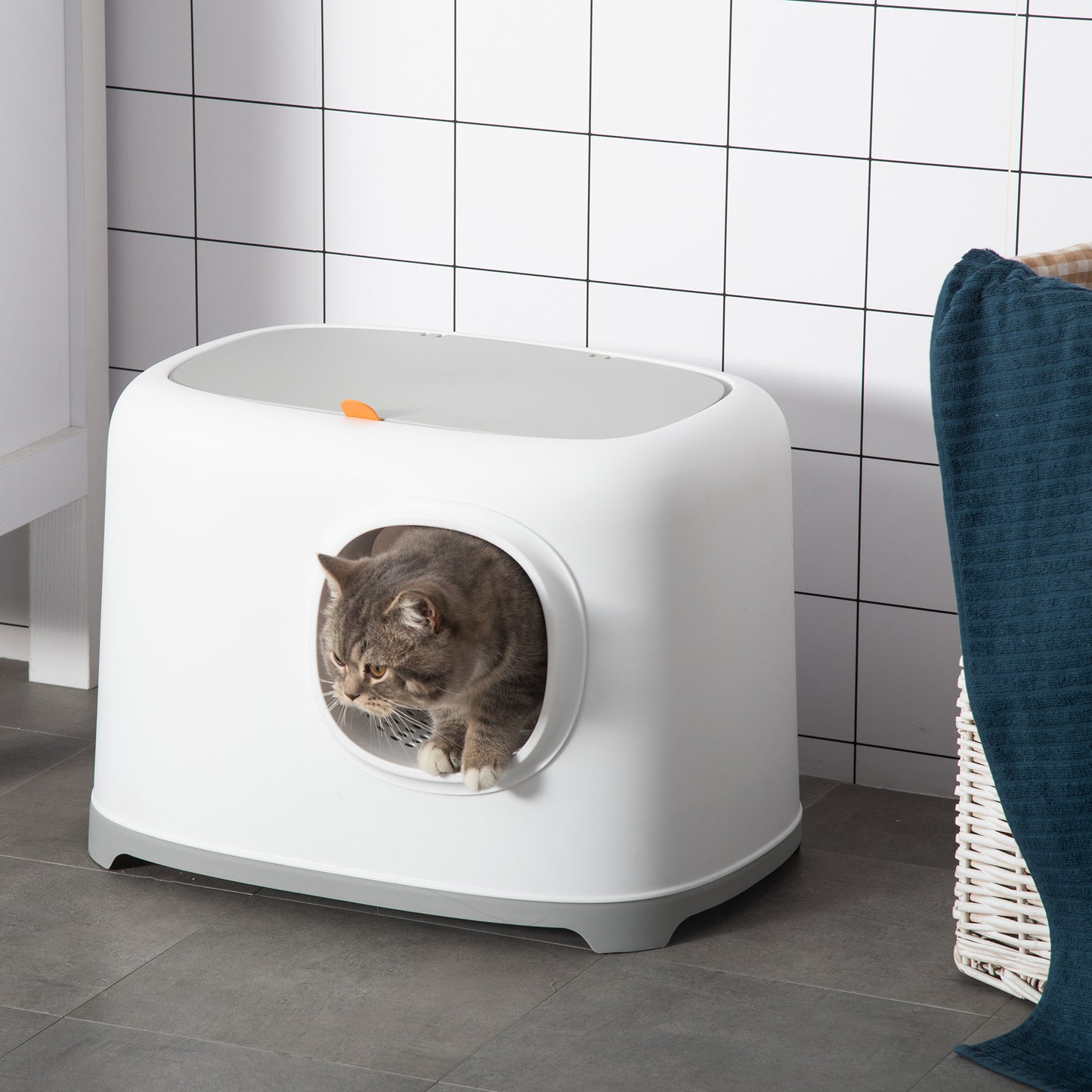 Pawhut Caja Arena Para Con Gatos Bandeja Techo Abatible Pala 55x40x39 Cm Blanco_1