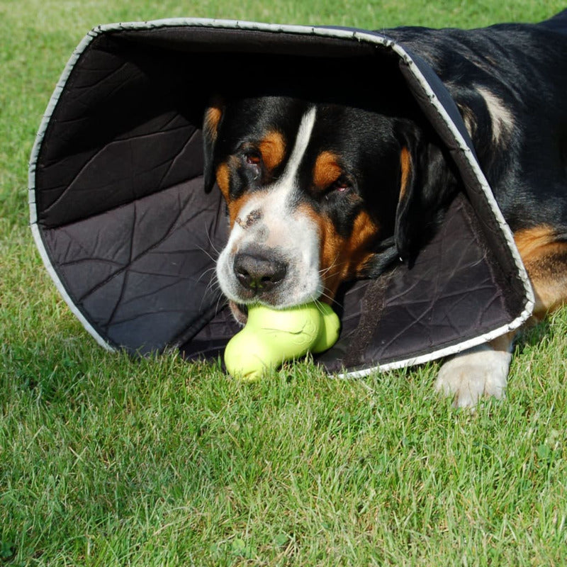 All Four Paws Collar De Recuperación Mascotas Comfy Cone Negro L 25 Cm_2