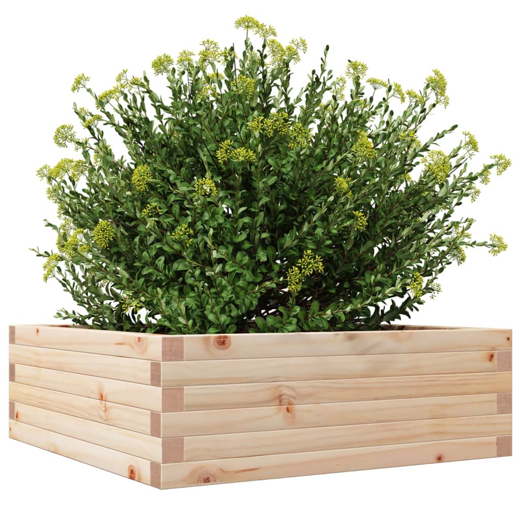 Jardinera De Madera Maciza De Pino 70x70x23 Cm_3