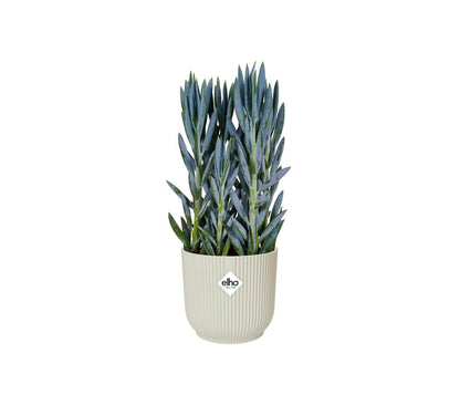 Macetero Vibes Con Ruedas Blanco 35cm_1