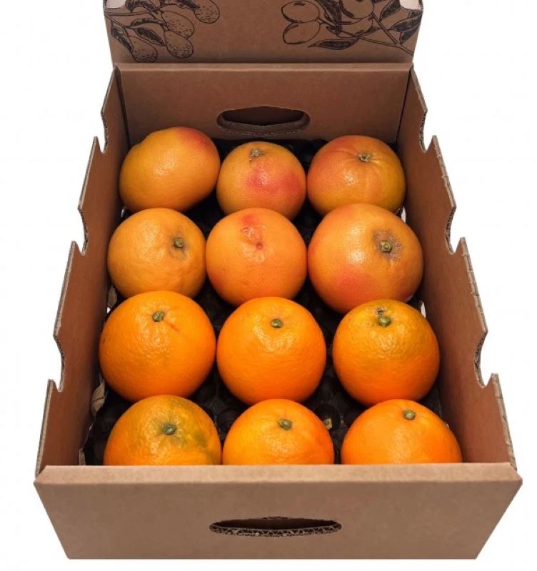 Mix Pomelos Y Naranjas Valencianas De Temporada Tropitop Caja 4kg_2