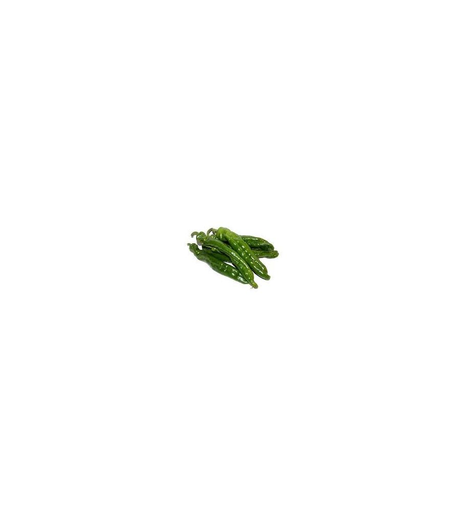 Plantón Pimiento Italiano Olaya F1 (10 Unidades)_2