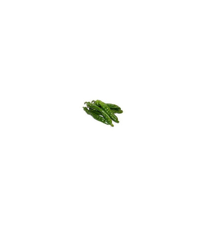Plantón Pimiento Italiano (10 Unidades)_1