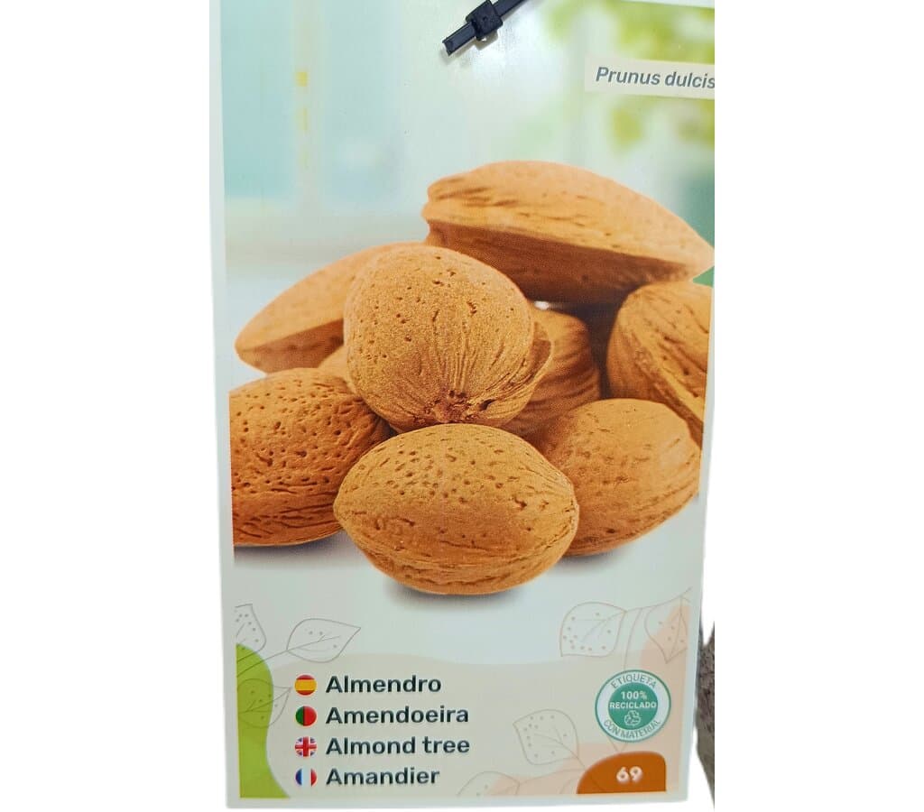 Almendro Avijor M25_0