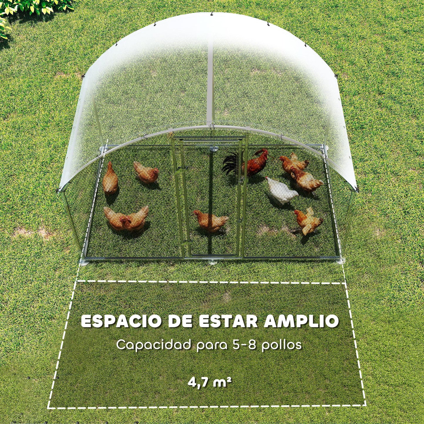 Pawhut Gallinero Para Exterior_3