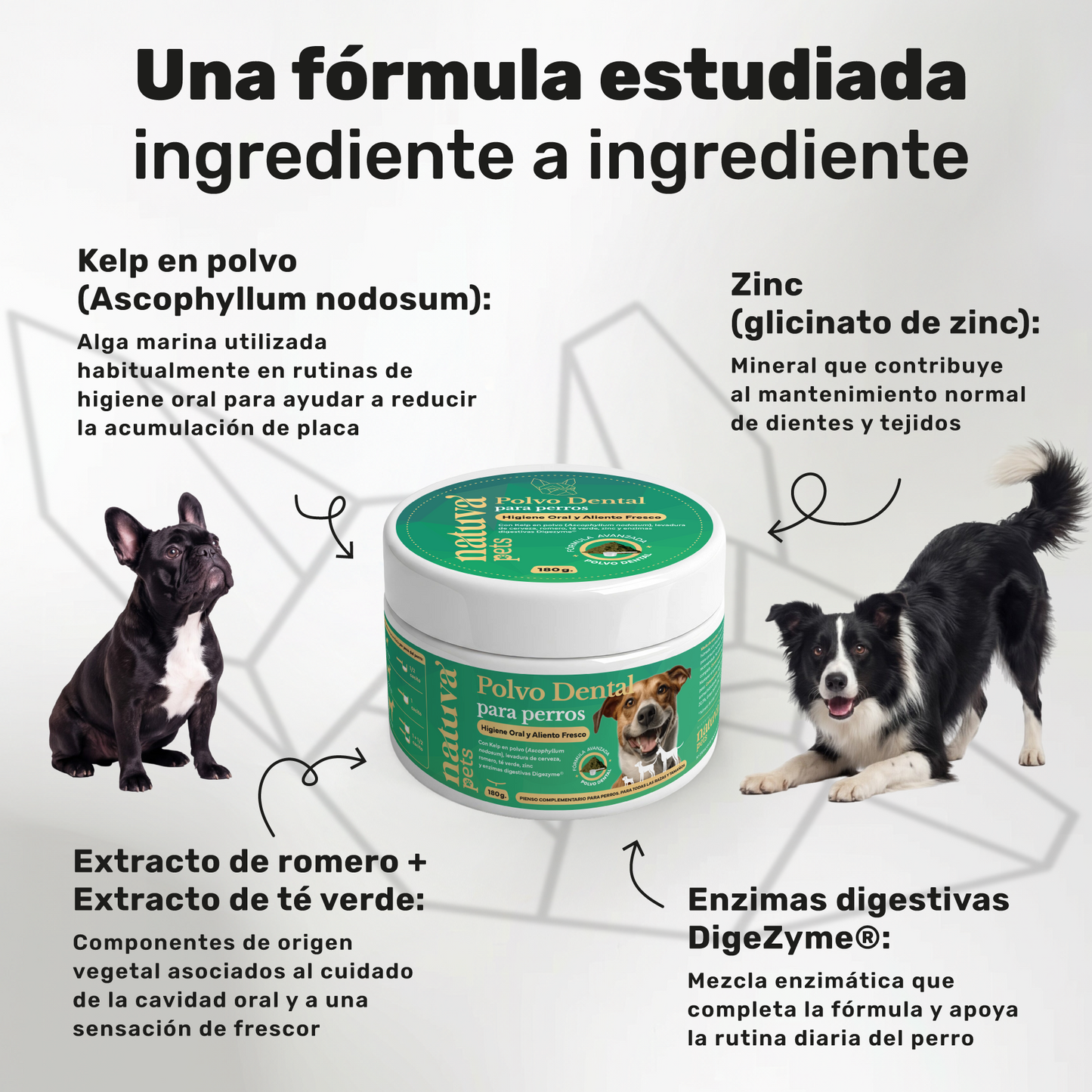 Pack 2x Polvo Dental Para Perros. Higiene Bucal. Suplementos Mascotas. 360 Gramos. Natuva Pets_2