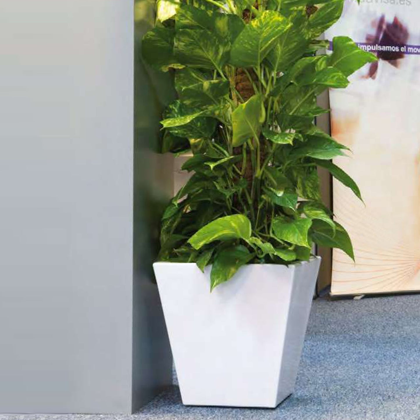 Macetero De Polietileno Por Rotomoldeo Blanco 40x40 Cm_3