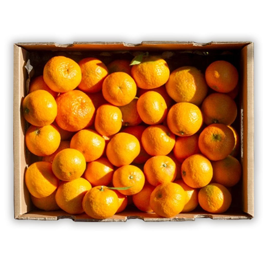 Mandarinas Clementinas Clemenules De Castellón Tropitop 15kg_0