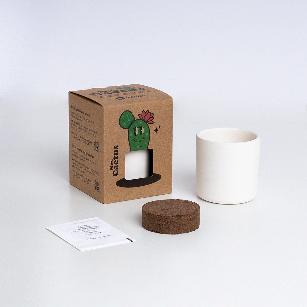 Mrs. Cactus | Kit De Cultivo De Cactus Con Maceta De Barro Artesanal_1