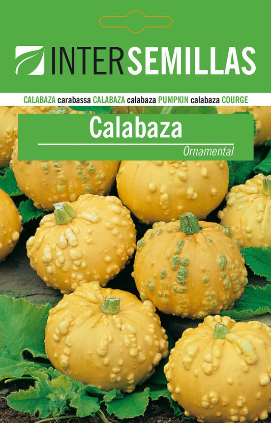 Sobre De Semillas De Calabaza Ornamental_0