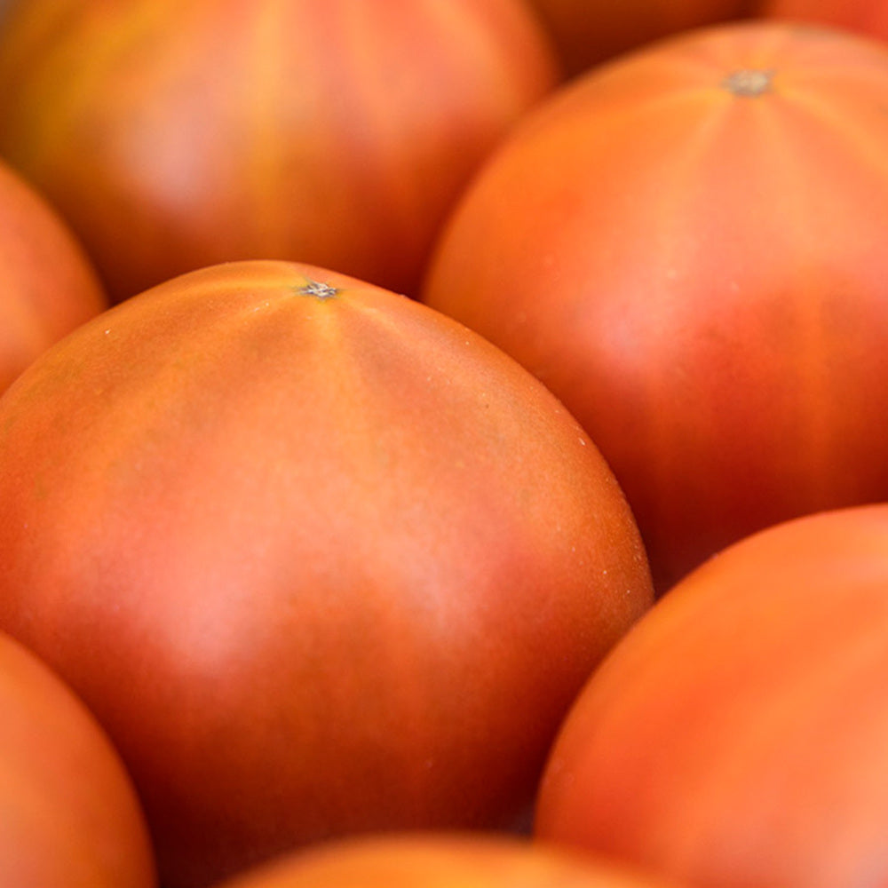 Tomate Dulcextra 1kg Granada La Palma_4