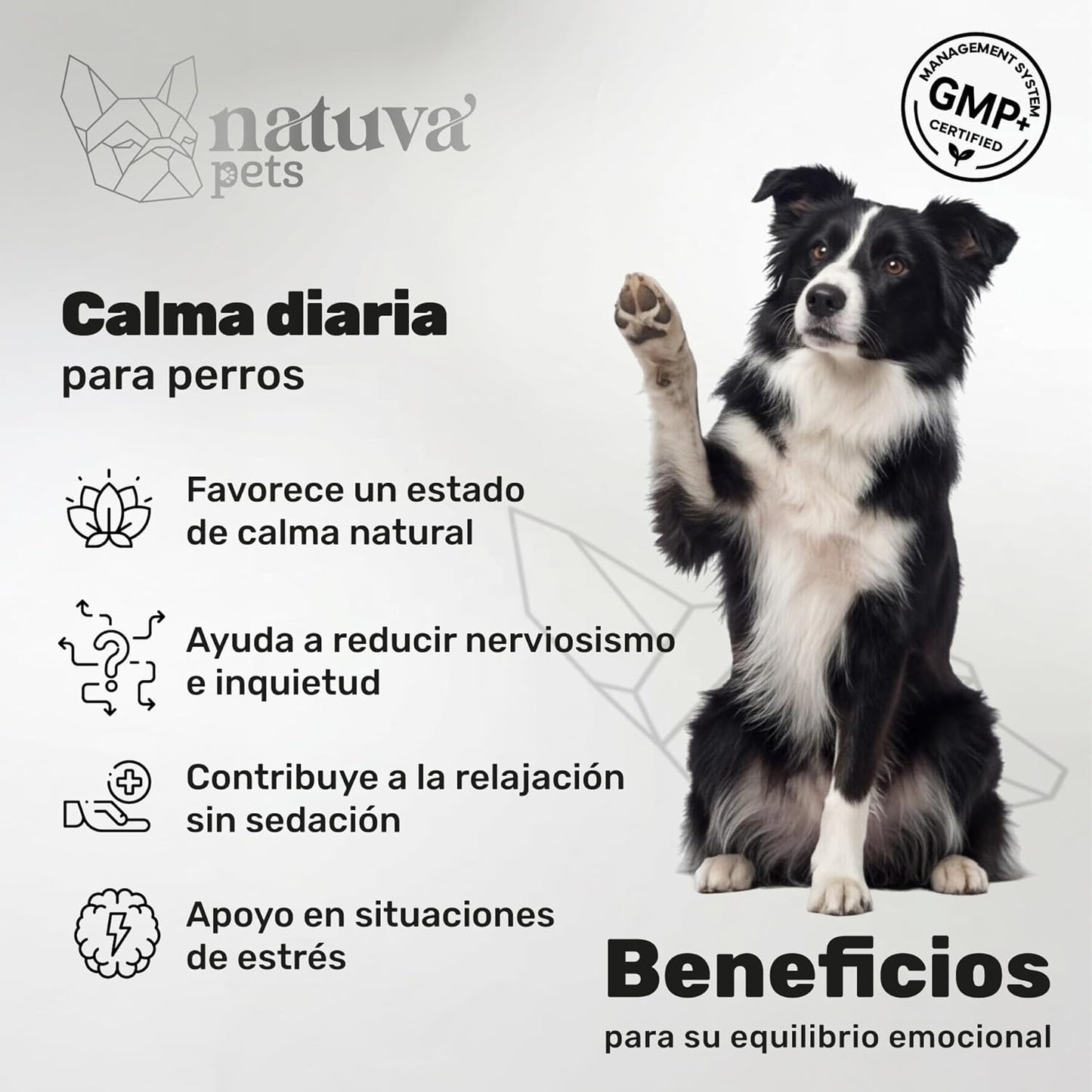 Calmante Para Perros. Calma Diaria Y Bienestar. Suplemento Para Mascotas. 120 Masticables. Natuva Pets_1