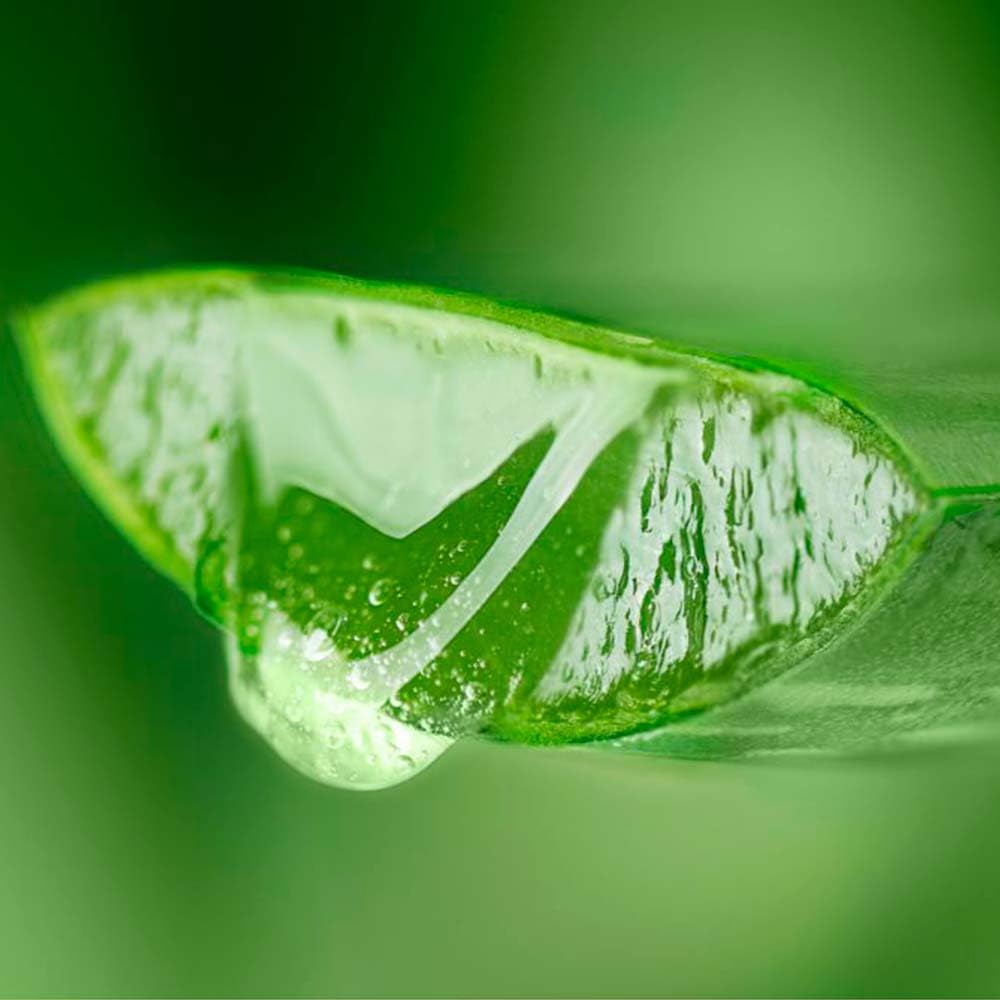 Pack 5 Jabón Natural Aloe Vera Y Rosa Mosqueta - Hidrata Y Regenera Piel Seca Y Arrugada - Mejora Cicatrices Y Estrías_3