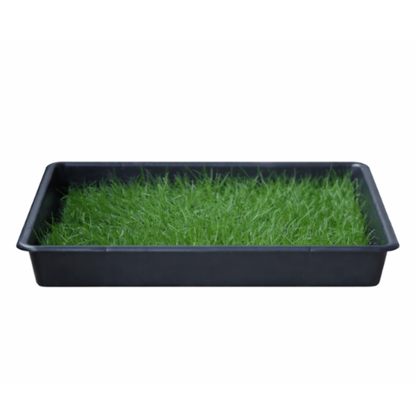 Petground Recambio Xxl, Cama Para Mascotas, Empapador, Alfombra Olfativa, Césped Natural_3