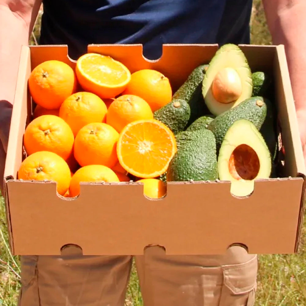 Caja 4kg Pack Aguacates Y Naranjas Del Campo Tropitop_3