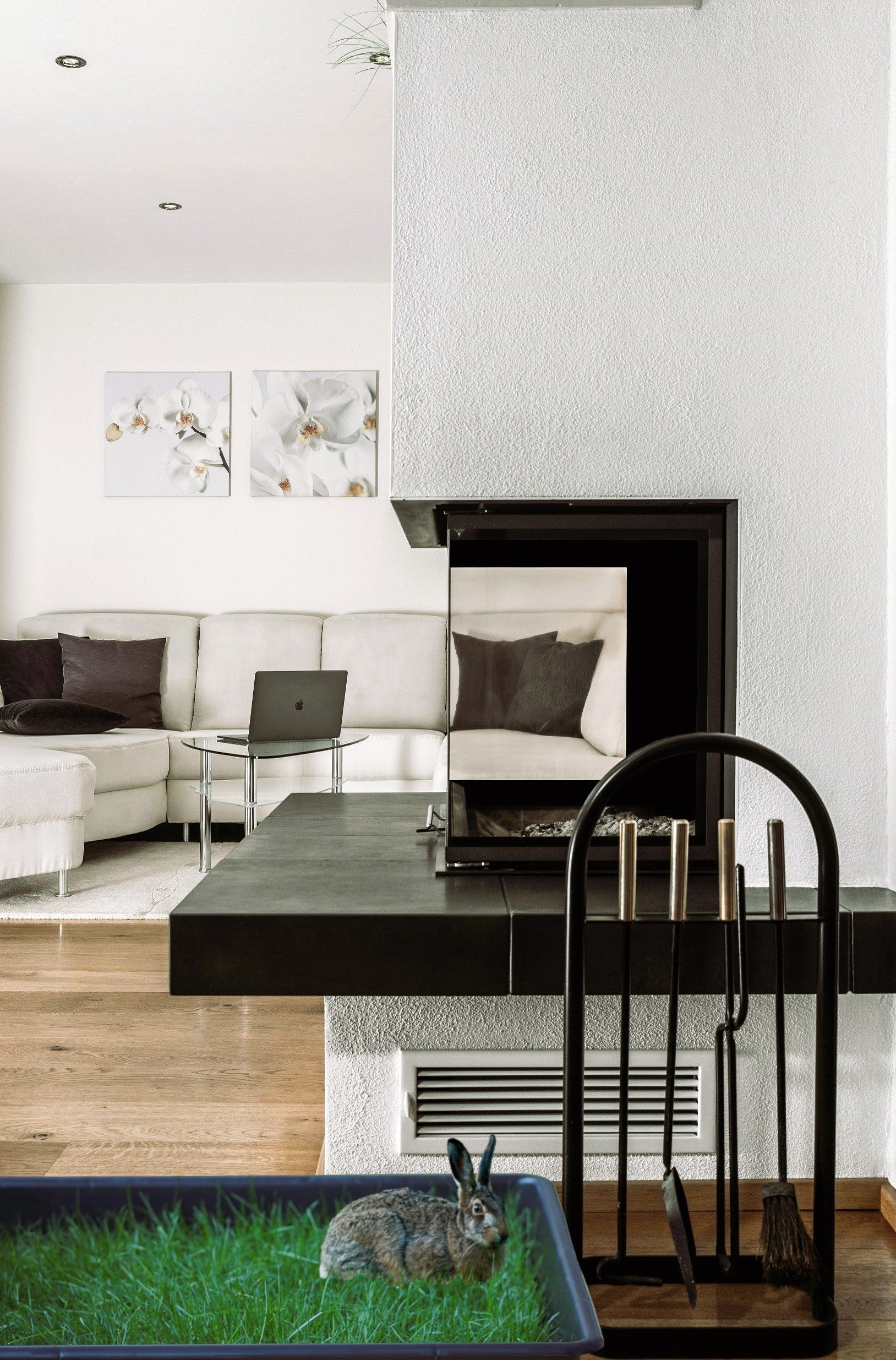 Petground Recambio XXL, Cama Para Mascotas, Empapador, Alfombra Olfativa, Césped Natural_4