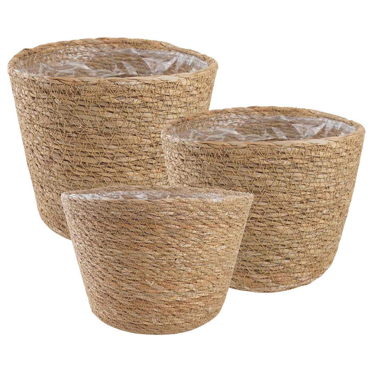 3 Uds. Natural Ø26 X 19 Cm 100% Hierba Marina_0