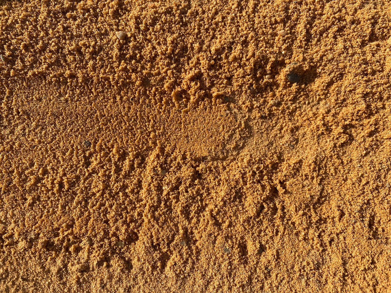 Arena Siembra Canónigos / Saco 20 Kg. / 0-3 Mm_2