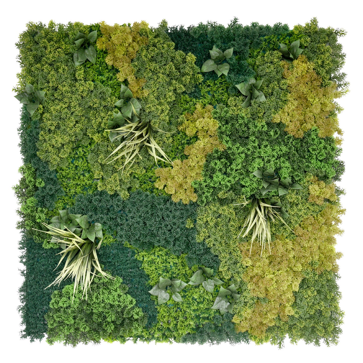 Bonerva | Jardín Vertical Yellowstone | Pieza 100x100 Cm_0