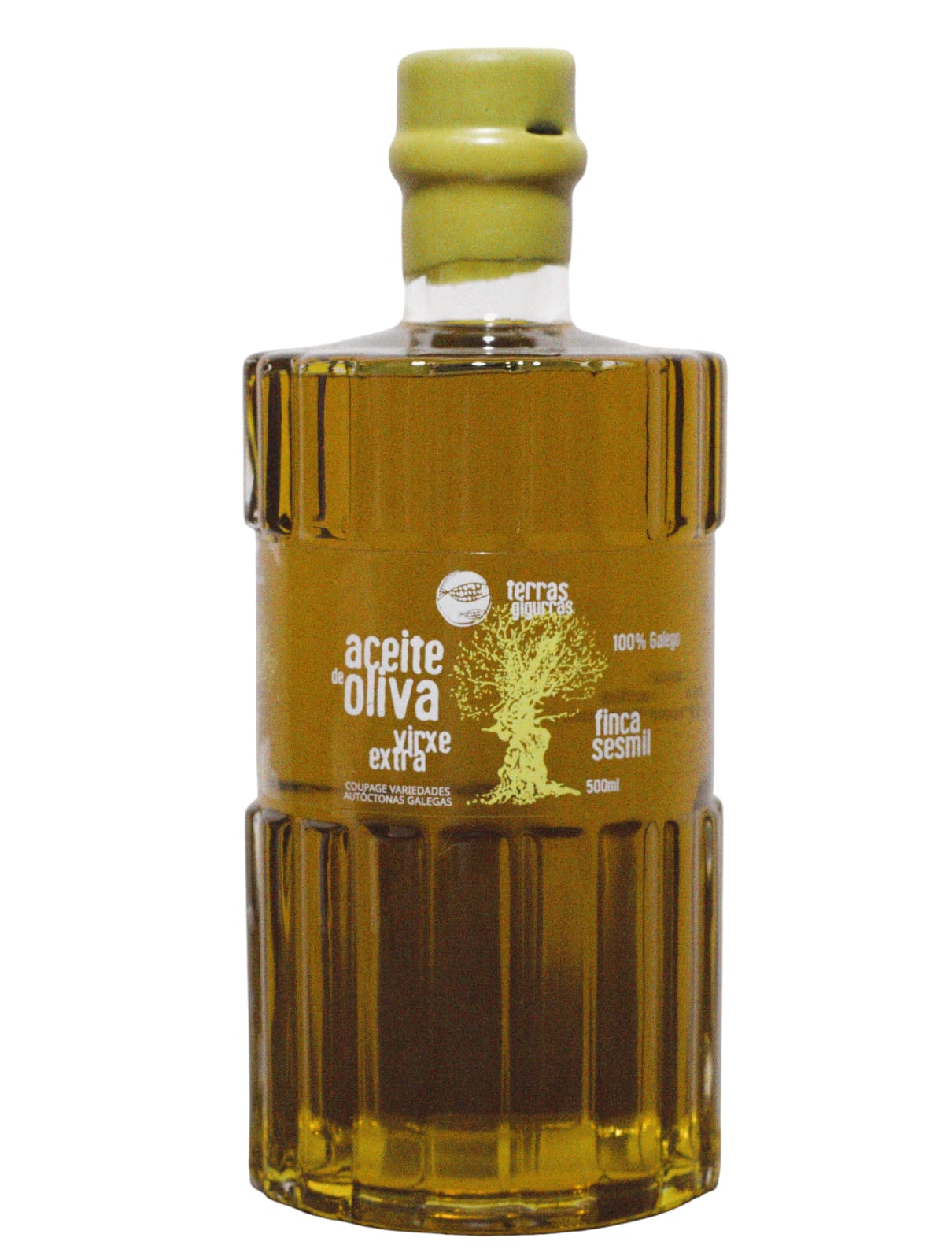 Aceite De Oliva Virgen Extra Terras Gigurras Finca Sesmil- 500ml - Cosecha 2024_0