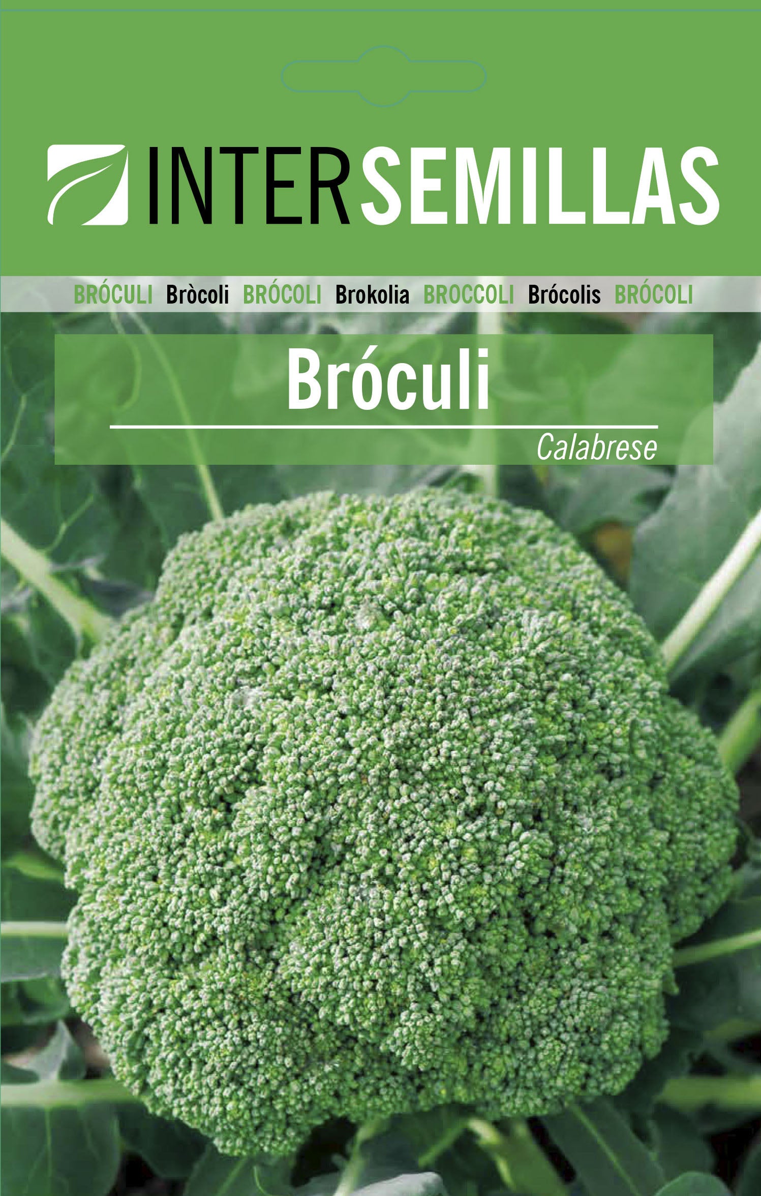 Brocoli Calabrese Sobre De Semillas Horticolas_0