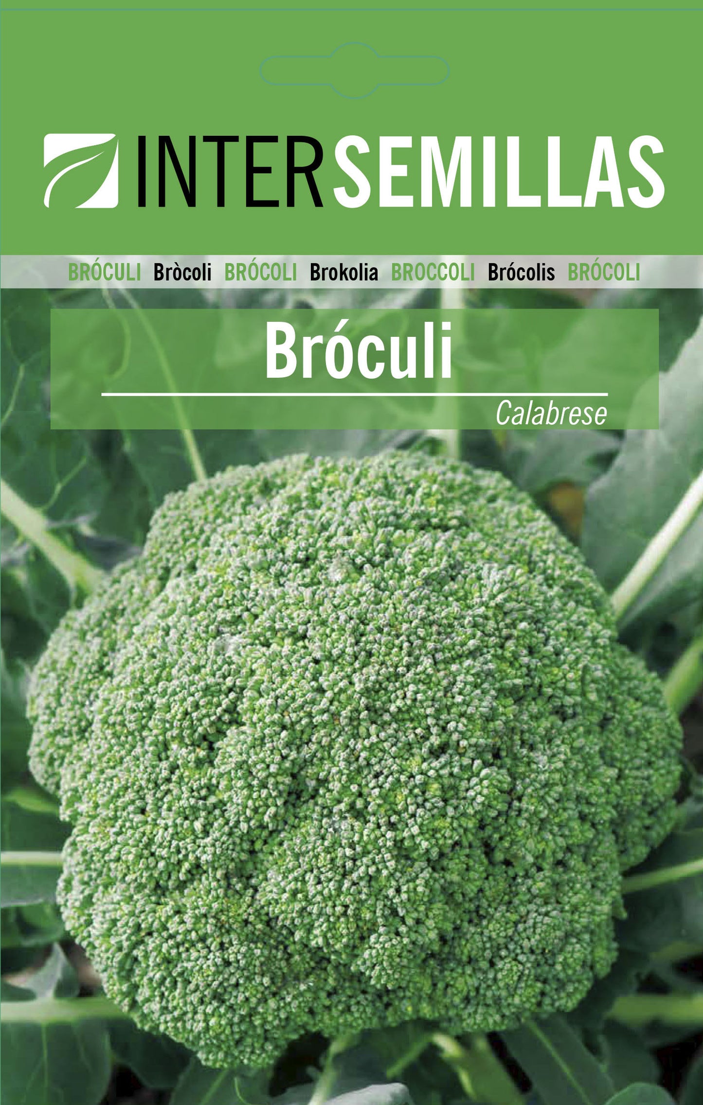 Broculi Calabrese Sobre De Semillas Horticolas_0