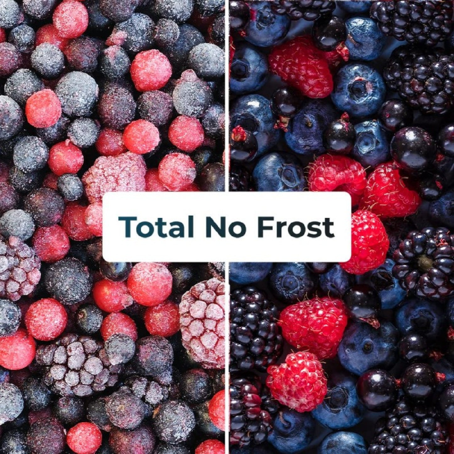 Cecotec Frigorífico Combi Bolero Coolmarket Combi 250 White D_2