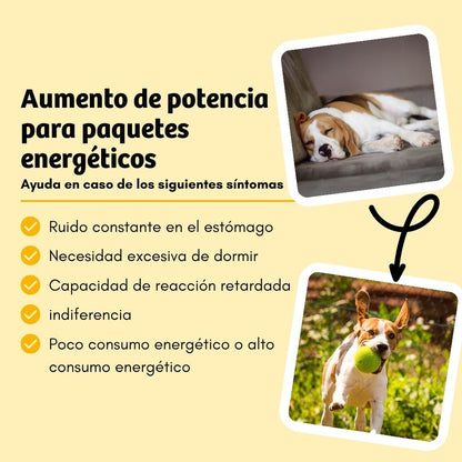 BugBell EnergyWonder Pienso – hipoalergénico, sin cereales, con proteína de insecto, plátano y chía_3