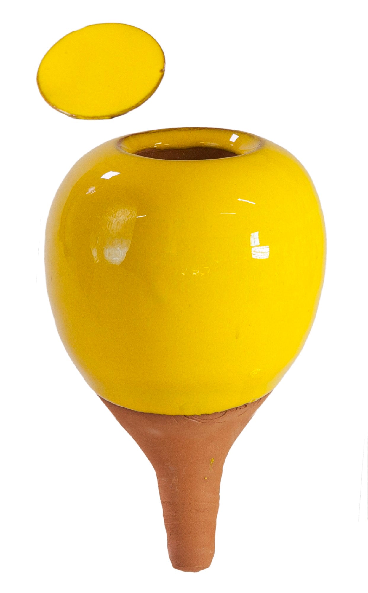 Regadera Cerámica Oyas Para Plantar S - Amarillo.