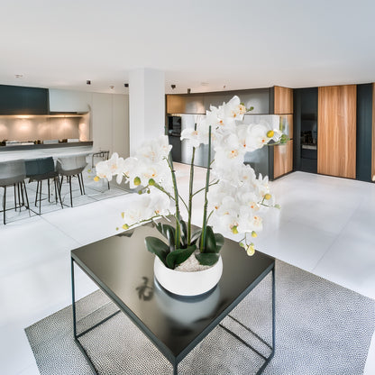 Well Home - Orquídea Olla Cerámica Blanca H65_2